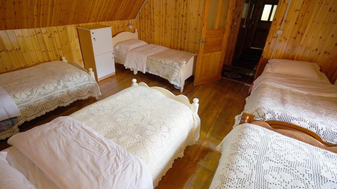 Hôtel Bujtina Tradicionale à Lepushe Extérieur photo