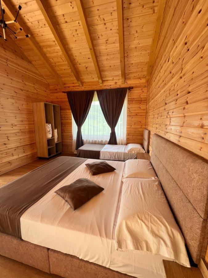 Hôtel Bujtina Tradicionale à Lepushe Extérieur photo